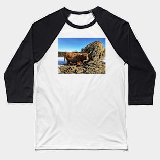 Scottish Highland Cattle Cow 2311 Baseball T-Shirt